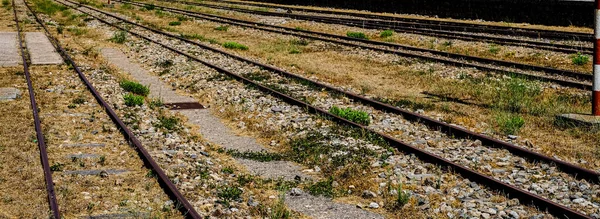 Vista Las Antiguas Vías Estación Tren Cubiertas Hierba Tempio Pausania —  Fotos de Stock