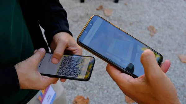Elinde telefon olan bir adamın elleri kabartma sertifikaları tarar. Yeşil kart. elektronik