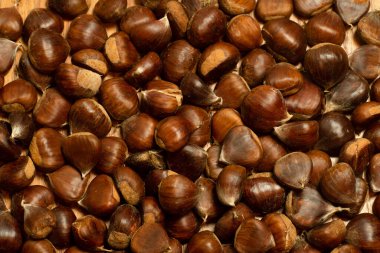 Sonbahar detayları. Kabuklu kestaneler