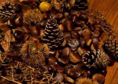 Sonbahar detayları. Kabuklu kestaneler, kozalaklar, kırmızı meyveler, elma