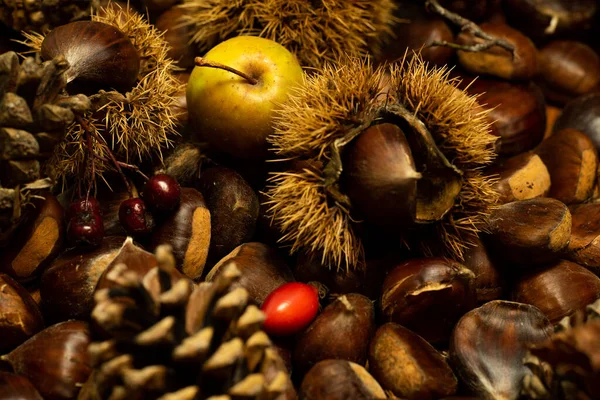 Dettagli Autunno Castagne Guscio Pigne Frutti Rossi Mela — Foto Stock