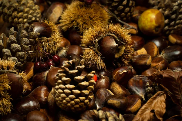 Dettagli Autunno Castagne Guscio Pigne Frutti Rossi — Foto Stock