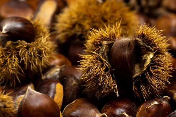 Sonbahar detayları. Kabuklu kestaneler