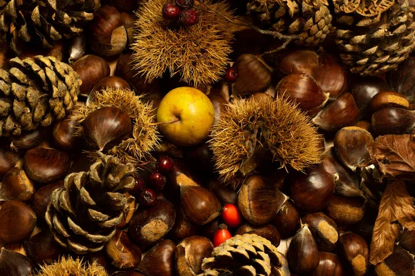 Dettagli Autunno Castagne Guscio Pigne Frutti Rossi Mela — Foto Stock