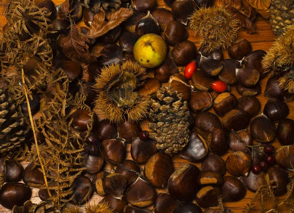 Dettagli Autunno Castagne Guscio Pigne Frutti Rossi Mela — Foto Stock