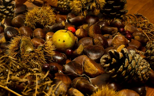 Dettagli Autunno Castagne Guscio Pigne Frutti Rossi Mela — Foto Stock