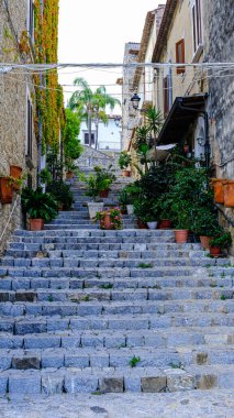Cilento sahili, Scario. Campania, İtalya. Bitkilerle adımların görüntüsü.