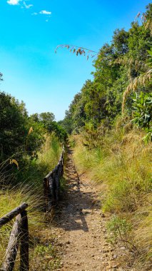 İz sürüyorum. Cilento sahili, Scario, Campania, İtalya