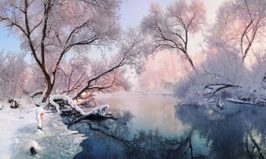 Noel danteli. Çoğunlukla sakin kış nehri, güzel bir pembe sabah ışık dantel üzerine düşen boğuk buz ve kar ile kaplı ağaçlarla çevrili. Pembe tonlarda muhteşem kış manzarası. Avrupa