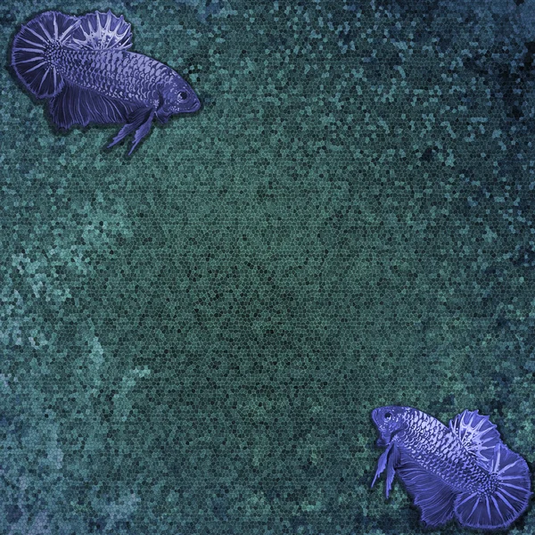 Peixe - Siamês Lutando no fundo do mosaico — Fotografia de Stock