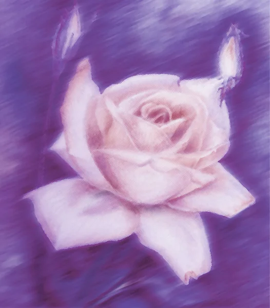 Rose Image - papier peint. Mariage. Emballage cadeau, impression, textile, fond mignon carte . — Photo