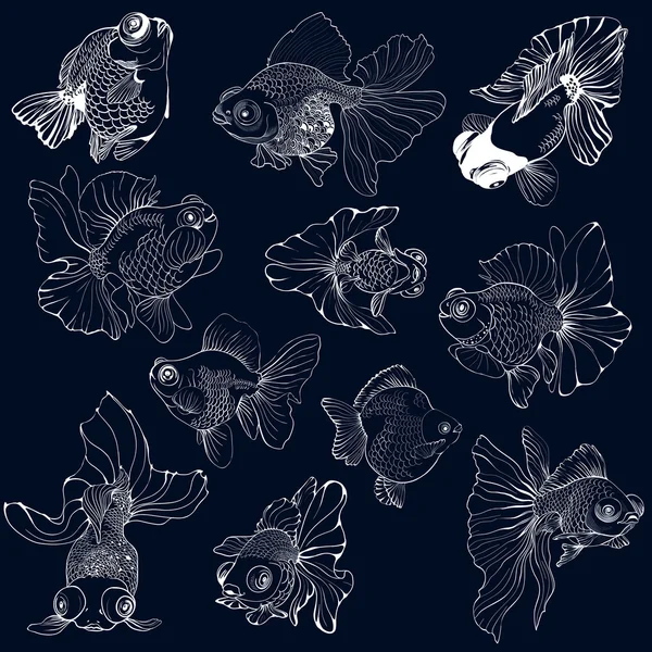 Goldfish - set van vectortekeningen. Gebruiken van gedrukte materialen, borden, posters, ansichtkaarten, verpakking. — Stockvector