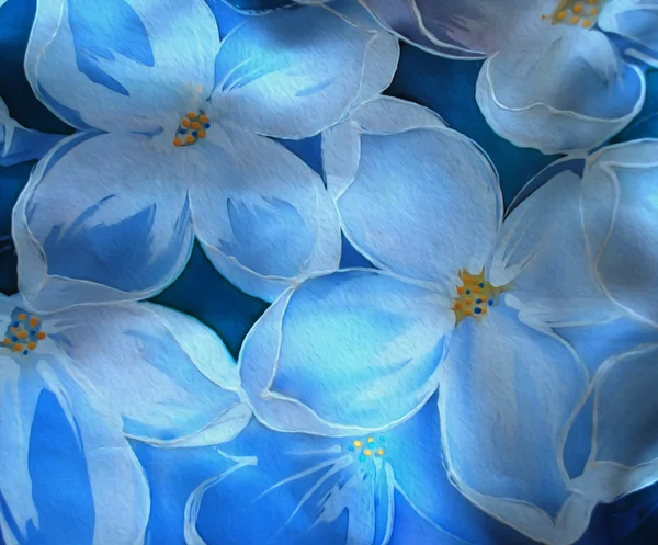 Grenar av vit lila — Stockfoto