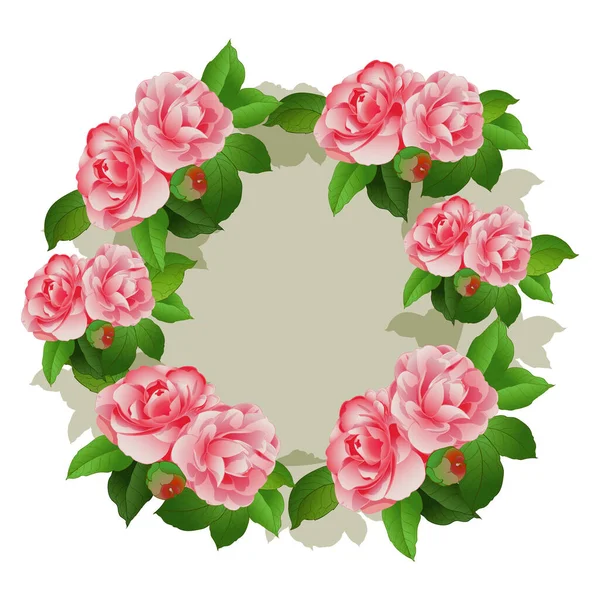 Rysunek Wektora Camellia Gałąź Kwiatami Liśćmi Egzotyczny Kwiat Jasnym Tle — Wektor stockowy