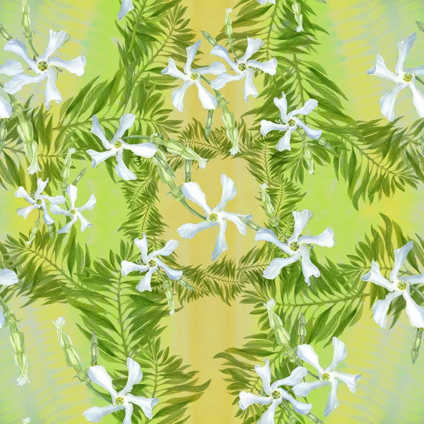 Sömlöst Mönster Jasmine Blommor Akvarell Bakgrund Kollage Blommor Exotiska Blommor — Stockfoto