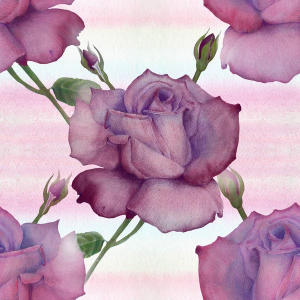 Rosas Desenho Lápis Composição Decorativa Fundo Aquarela Motivos Florais Padrões — Fotografia de Stock