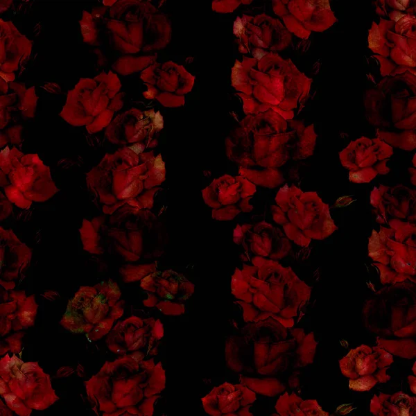 Rosas Dibujo Lápiz Composición Decorativa Sobre Fondo Acuarela Motivos Florales —  Fotos de Stock