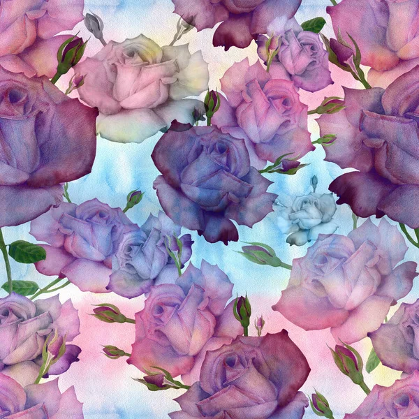 Rosas Desenho Lápis Composição Decorativa Fundo Aquarela Motivos Florais Padrões — Fotografia de Stock