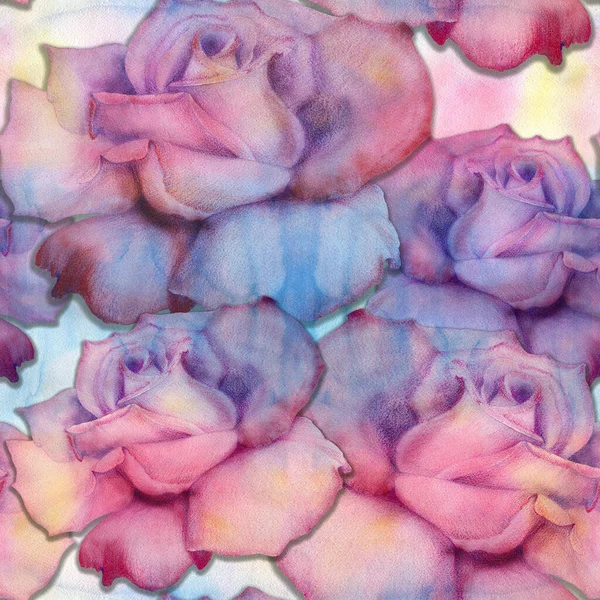Róże Rysunek Ołówka Dekoracyjna Kompozycja Tle Akwareli Motywy Kwiatowe Płynne — Zdjęcie stockowe