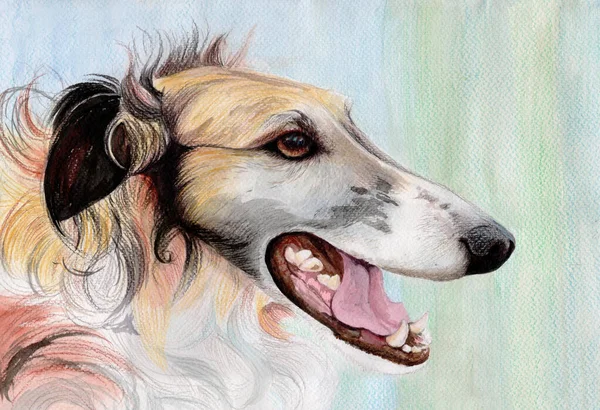 Retrato Cão Aquarela Greyhound Animalistic Drawing Use Materiais Impressos Sinais — Fotografia de Stock
