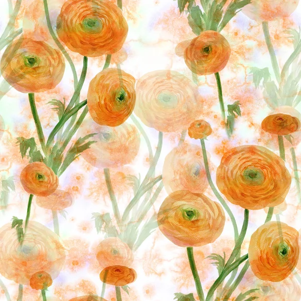 Nahtlose Muster Florale Motive Blüten Und Knospen Des Hahnenfußes Aquarell — Stockfoto