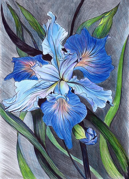 Iris Composizione Decorativa Fiori Gemme Iris Sullo Sfondo Acquerello Utilizzare — Foto Stock