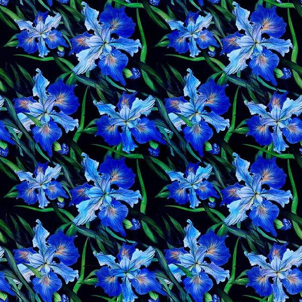 Irises Bezproblémový Vzorec Dekorativní Kompozice Květiny Poupata Duhovek Pozadí Akvarelu — Stock fotografie