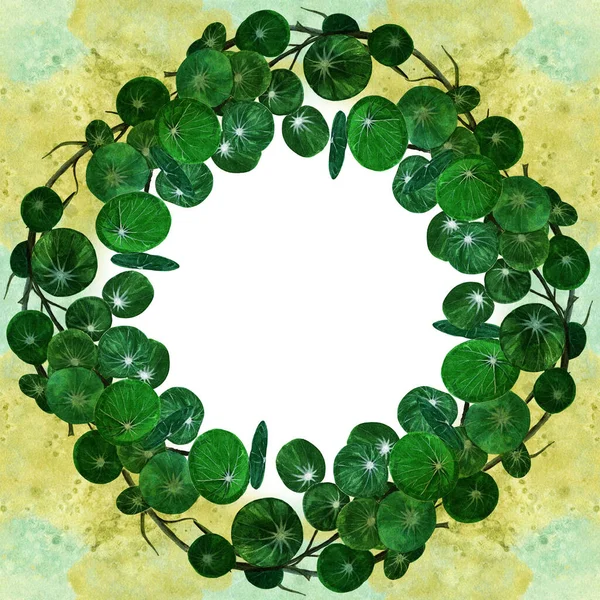 Υδατογραφία Κλάδος Στρογγυλεμένα Πράσινα Φύλλα Κυκλική Σύνθεση Φόντο Ακουαρέλας Απρόσκοπτο — Φωτογραφία Αρχείου