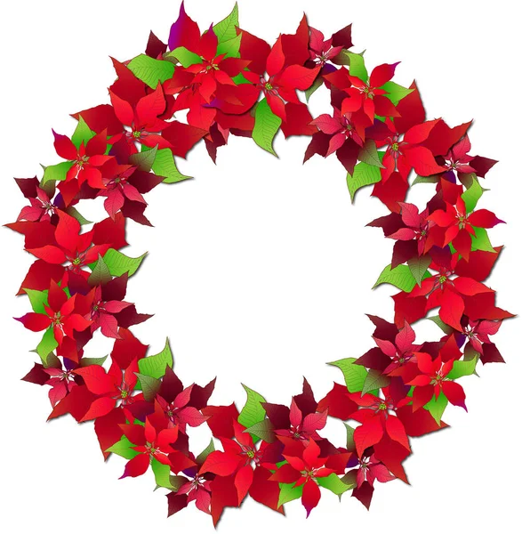 Christmas Wreath Inflorescences Decorative Composition Christmas Flower Poinsettia New Year — Stock Photo, Image