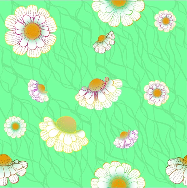 Daisy vector — Stock Vector