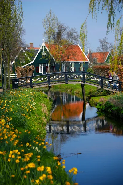 Tipik Hollanda köyde Zaanse Schans'a, Bahar güneşli gün. Hollanda, Europe.