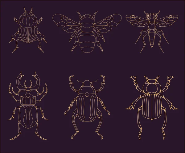 Ensemble des insectes vecteurs. Éléments vectoriels . — Image vectorielle