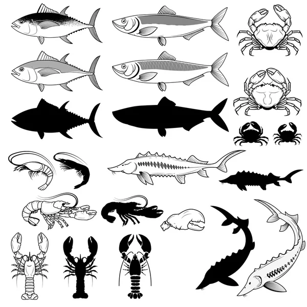Conjunto de peixes, caranguejos, camarões, lagostas. Elemento de projeto vetorial — Vetor de Stock