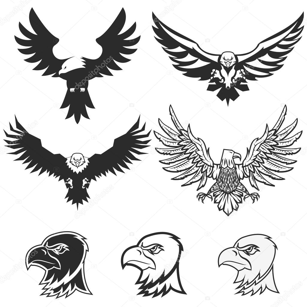 Set of eagles. Design elements for logo, label, emblem, badge te