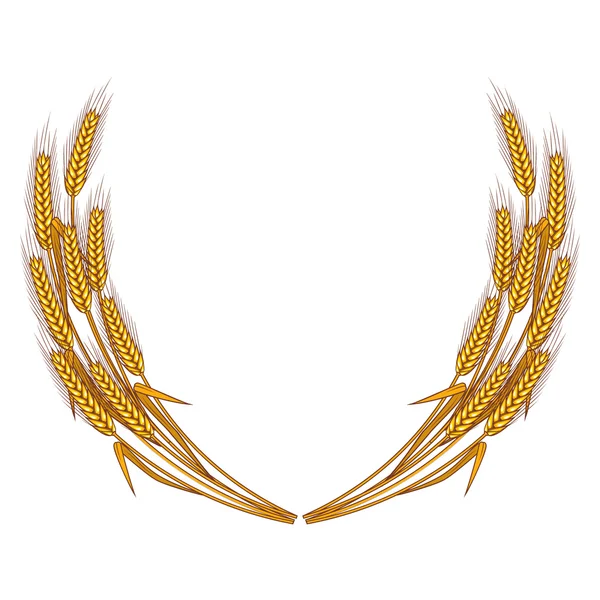 Beyaz arka plan üzerinde izole buğday çelenk.