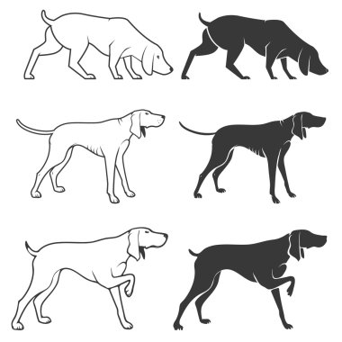 Avcılık köpekleri çizimler seti. 