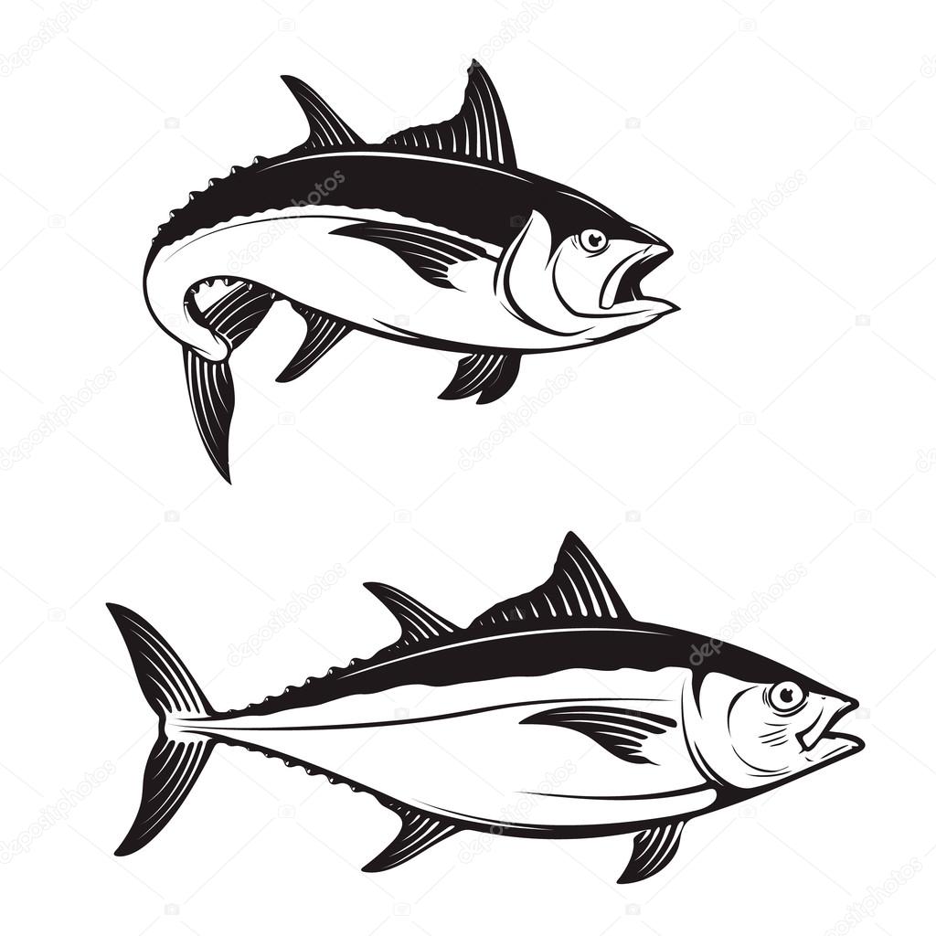 Tuna fish icons.  Vector illustration.