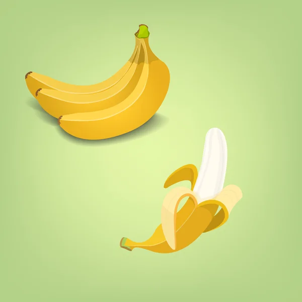 Manojos de frutas frescas de plátano. — Vector de stock