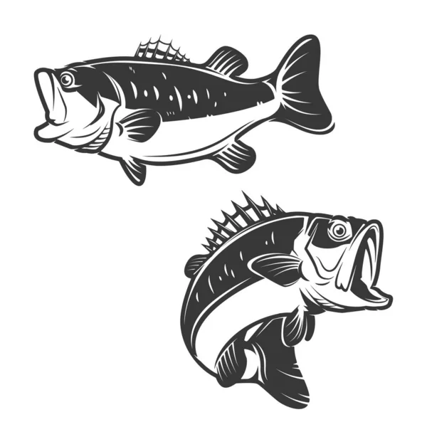 Beyaz Arka Planda Izole Edilmiş Levrek Balığı Ikonları Logo Etiket — Stok fotoğraf