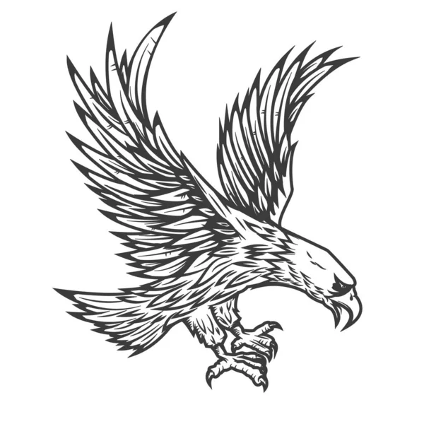 Ilustración Águila Voladora Aislada Sobre Fondo Blanco —  Fotos de Stock