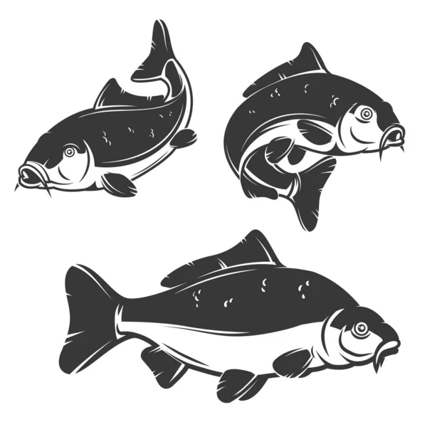Beyaz Arka Planda Izole Edilmiş Sazan Balığı Ikonları Logo Etiket — Stok fotoğraf