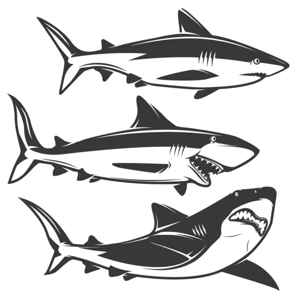 Beyaz Arka Planda Izole Edilmiş Köpek Balığı Ikonları Logo Etiket — Stok fotoğraf