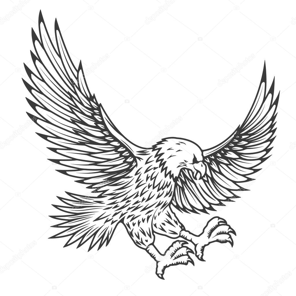 Illustration of flying eagle isolated on white background. 
