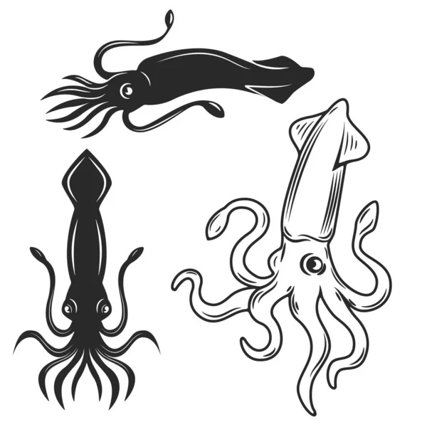 Beyaz Arkaplanda Izole Edilmiş Mürekkep Balığı Çizimleri Logo Etiket Amblem — Stok fotoğraf