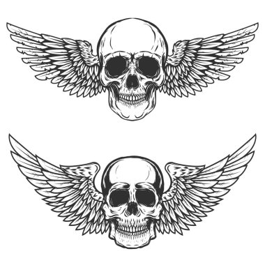 Set of winged skulls isolated on white background. Design elements for poster, t-shirt,  emblem, sign.