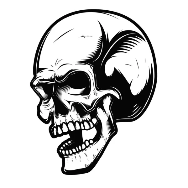 Human Skull Isolated White Background — Stock Photo, Image