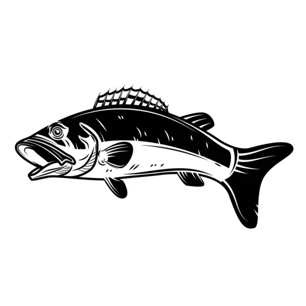 Barsch Fisch Symbol Isoliert Auf Weißem Hintergrund Designelement Für Logo — Stockfoto
