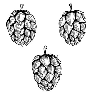 El çizimi bira ve hop çizimleri. Logo, etiket, amblem ve imza için tasarım ögesi.
