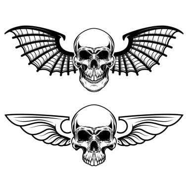 Kanatlı kafatası seti. Yarasa kanatlı bir kafatası. Logo, etiket, amblem, imza, t-shirt için tasarım ögeleri. 