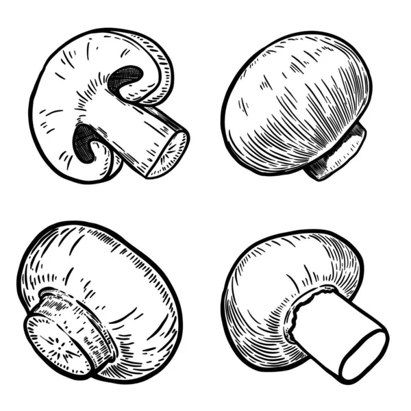Set Hand Drawn Mushrooms Illustrations Design Elements Poster Menu Banner — Stockfoto